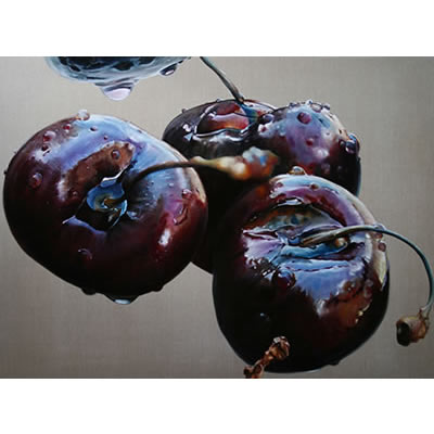 Black cherry II: 2009, Oil on Belgian Linen, 96 x 126cm