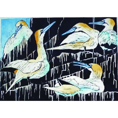 A Company of Gannets, hand coloured linocut by Lisa Hooper