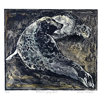 Atlantic Grey Seals, lino etching by Lisa Hooper