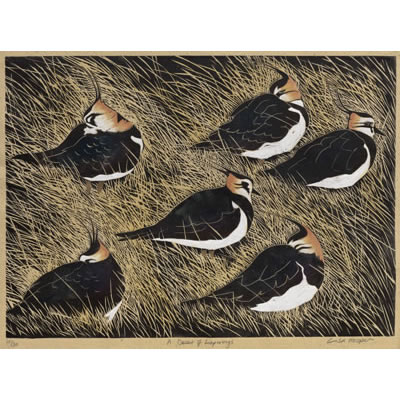A Deceit of Lapwings, hand coloured linocut by Lisa Hooper