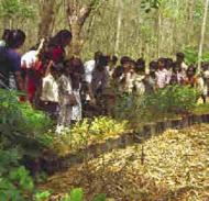 Local Tamil women and children at a tree nursery, Auroville, India. Photograph: Joss Brooks