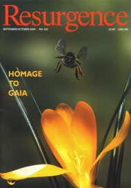 issue cover 202