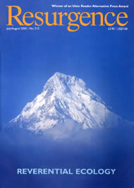 issue cover 213