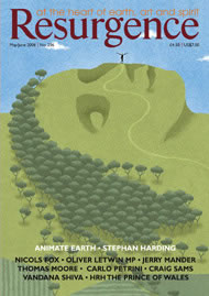 issue cover 236