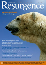 issue cover 252