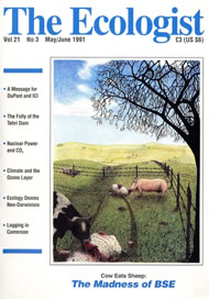 Cover of Ecologist issue 1991-05