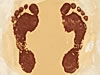 Abraham&rsquo;s Path