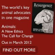 Animals: a new ethics