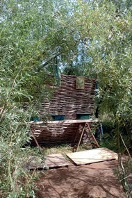 Summer Camp