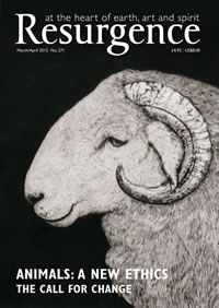 Animals: a new ethic