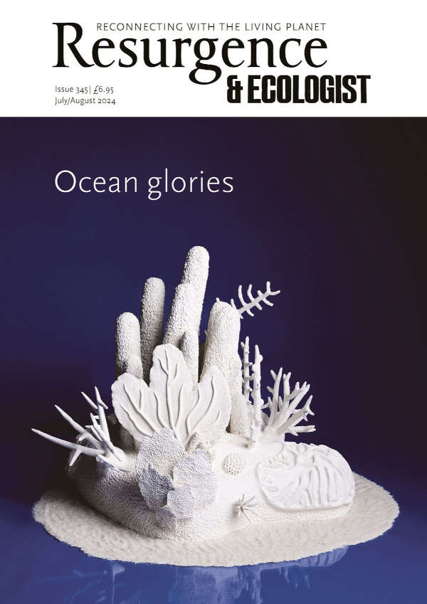Resurgence & Ecologist issue cover 345